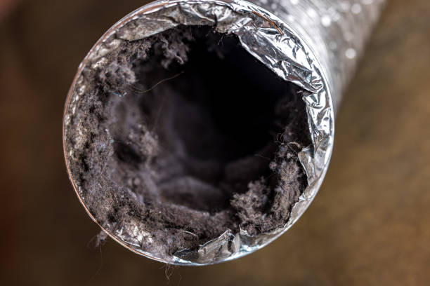 Reliable Mount Airy, NC Airduct Cleaning Solutions
